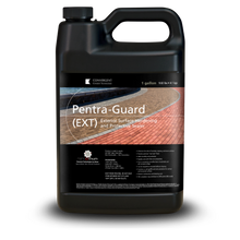 Load image into Gallery viewer, Black 1 gallon jug labeled Pentra-Guard EXT