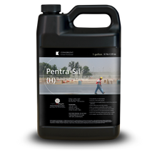 Load image into Gallery viewer, Black 1 gallon jug labeled Pentra-Sil H